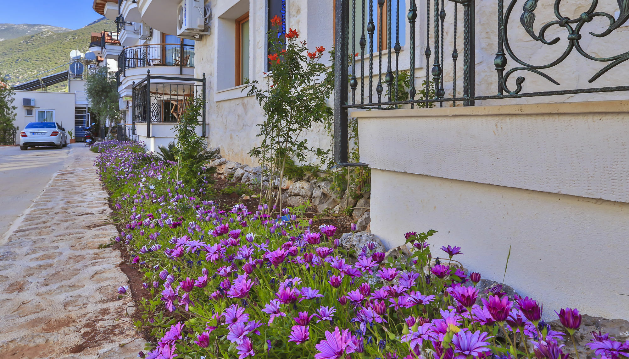 Cinarlar Apart Hotel Kaş Extérieur photo
