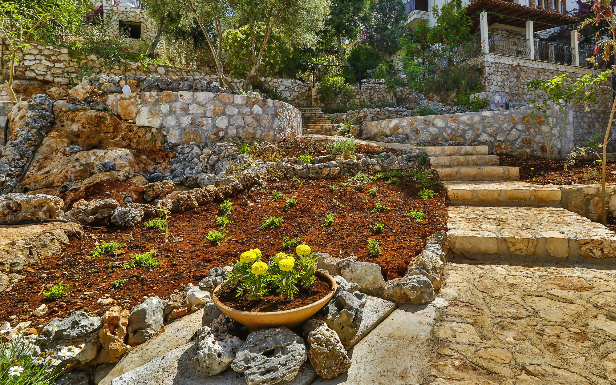 Cinarlar Apart Hotel Kaş Extérieur photo